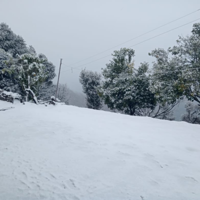 WhatsApp Image 2025-11-13 at 12.23.15 PM